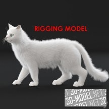 3d-модель Белый кот