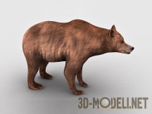 3d-модель Медведь