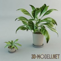 3d-модель Зеленый цветок в горшке
