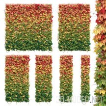 3d-модель Стена из листьев, 6 вариантов