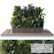 3d-модель Современная клумба с растениями
