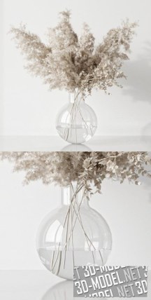 3d-модель Сухой белый букет в стеклянной вазе
