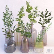 3d-модель Зеленые ветки в бутылках