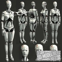 3d-модель Человекоподобный робот