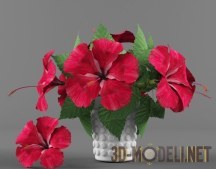 3d-модель Цветы гибискуса в вазе