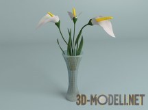 3d-модель Каллы в вазе