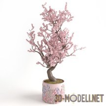 3d-модель Цветущая вишня