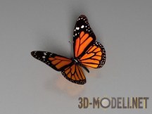 3d-модель Бабочка королек