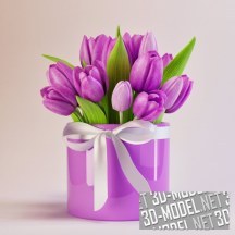 3d-модель Тюльпаны в круглой коробке