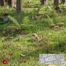 3d-модель Часть леса с грибами