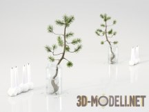 3d-модель Ветка сосны и свечи