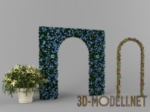 Цветы и арки Novello