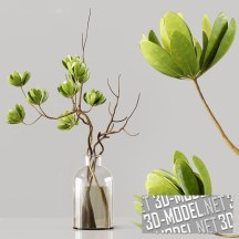 3d-модель Вазы с зелеными растениями