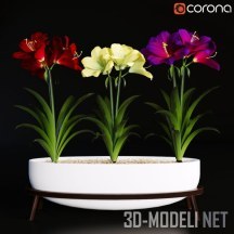 3d-модель Кашпо с цветами гиппеаструма