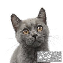 3d-модель Сидящий кот Федор