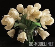 3d-модель Раскрывшиеся тюльпаны
