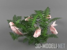 3d-модель Мраморные рыбки кои и папоротник