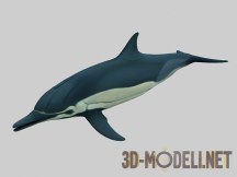 3d-модель Дельфин