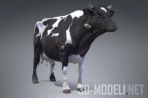 3d-модель Черно-белая корова