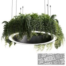 3d-модель Круглый подвес с растениями