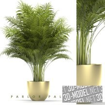 3d-модель Декоративная пальма в горшке
