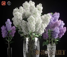 3d-модель Сирень в хрустальных вазах