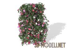 3d-модель Живая изгородь из цветов