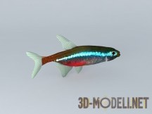 3d-модель Рыбка неон