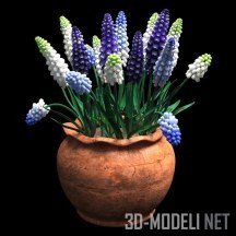 3d-модель Букет с цветами мускари