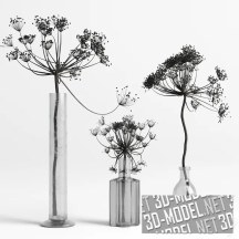 Три вазы с сухими растениями