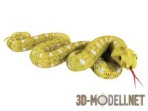 3d-модель Змея