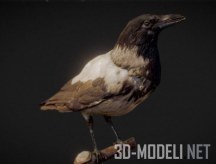 3d-модель 3D Scan модель вороны