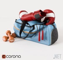 Спортивная сумка, гантели и боксеркие перчатки