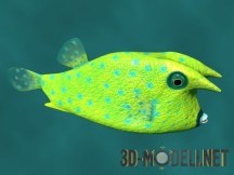 3d-модель Boxfish