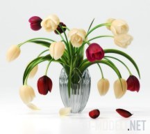 Тюльпаны с изогнутыми стеблями