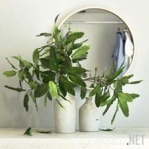 Две вазы с зелеными ветками