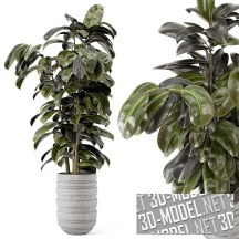 3d-модель Домашнее растение в бетонном горшке