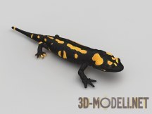 3d-модель Саламандра