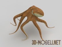 3d-модель Осьминог
