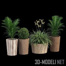 3d-модель Горшки Il Giardino di Legno Tennis с растениями