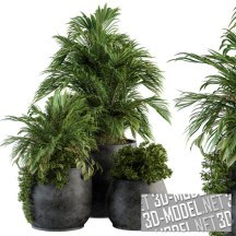 3d-модель Три больших серых горшка с растениями