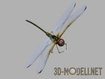 3d-модель Анимированная стрекоза