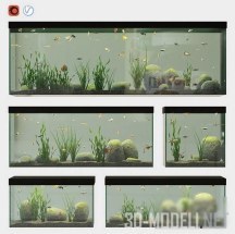 Пять прямоугольных аквариумов