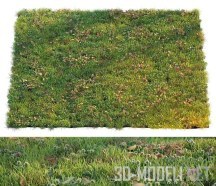 3d-модель Газон с травой, белым клевером и опавшими листьями