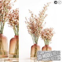 3d-модель Орхидеи Oncidium Pink в вазах