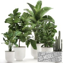 3d-модель Растения в горшках Vig Planter L Gray