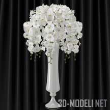 Элегантный букет белых орхидей