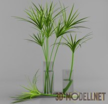 3d-модель Драценовидное растение в стеклянной вазе