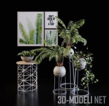 3d-модель Комнатные растения в шаровидных горшках