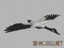 3d-модель Птица гусь